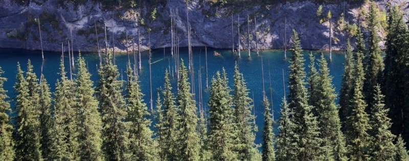 Lake Kaindy, stretching from southwest to northeast, is 485 meters long, with a maximum width of 114 meters in the central part and a depth of up to 30 meters. Its water surface area is approximately 0.04 square kilometers.