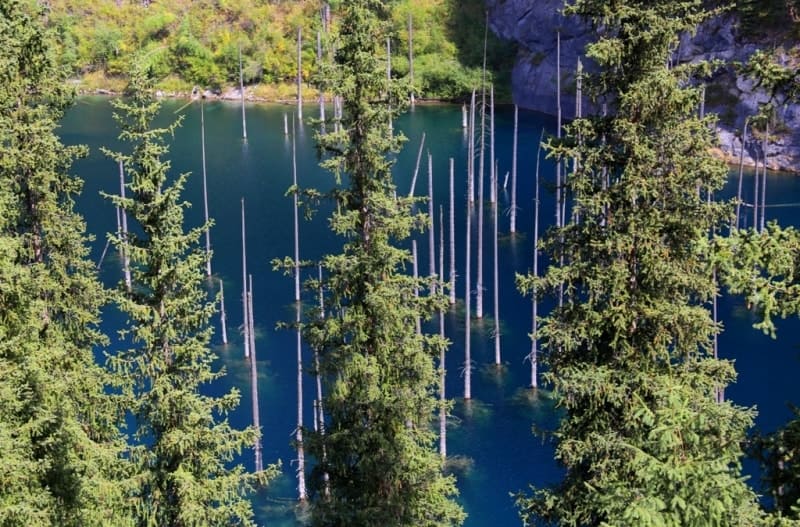 Mirror-like reflection of the rocks and "forest candles" transforms Lake Kaindy into a dual universe - a world above and a world below. Submerged fir trunks, still bearing their needles, are visible in the transparent depths.
