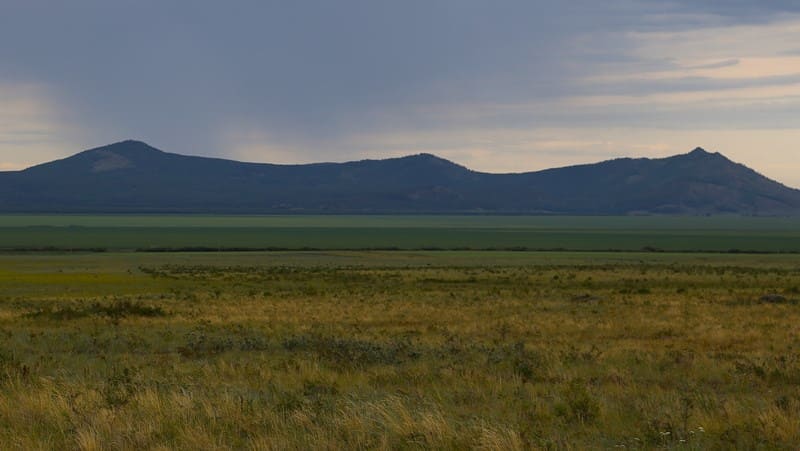 Скалистые возвышенности обычно покрыты сосновыми лесами. Особенно благоприятны для развития лесных экосистем девонские граниты. Это объясняется особенностями их структуры и микроэлементного состава.