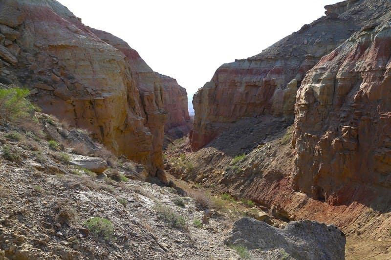 Western canyon in the Kara Maya valley. Kenderli Saline marsh Depression. Ustyurt Nature Reserve. Mangystau region.