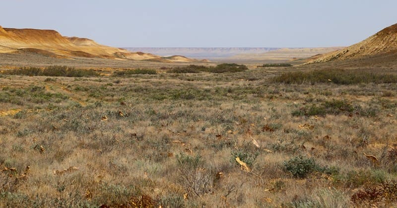 Donyztau Cliff. Northern Cliff of the Ustyurt Plateau. Southern Aktobe Region.