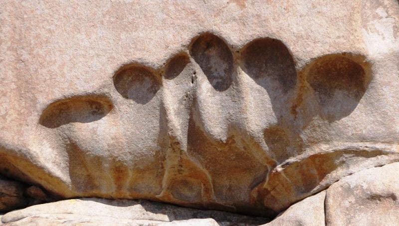 Entire complex consists of unique stone "petals" and intricate curves created by nature, making it resemble an alien landscape.