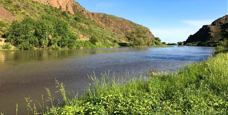 Каз река. Аягуз (река). Река Аягуз 1922 лето. Аягуз река почему такое название.