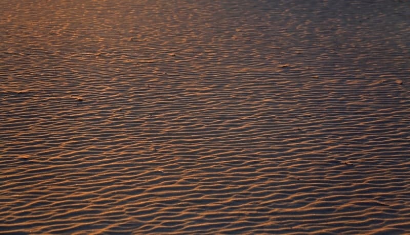  Песчаные массивы состоят преимущественно из песков палеогена и только в северо-западной части Больших Барсуков встречаются аллювиальные наносы. 