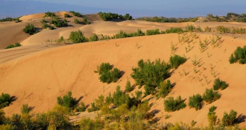 Через северную часть песков, с юго-востока на северо-запад проходит железная дорога Кызылорда – Актобе протяженностью 18 километров. 