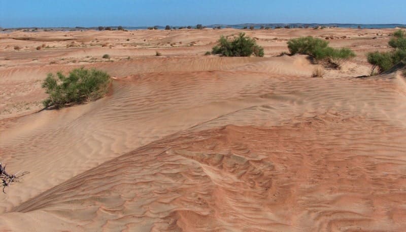 The Saryesik-Atyrau Sands are located in the Balkhash-Alakol Basin.