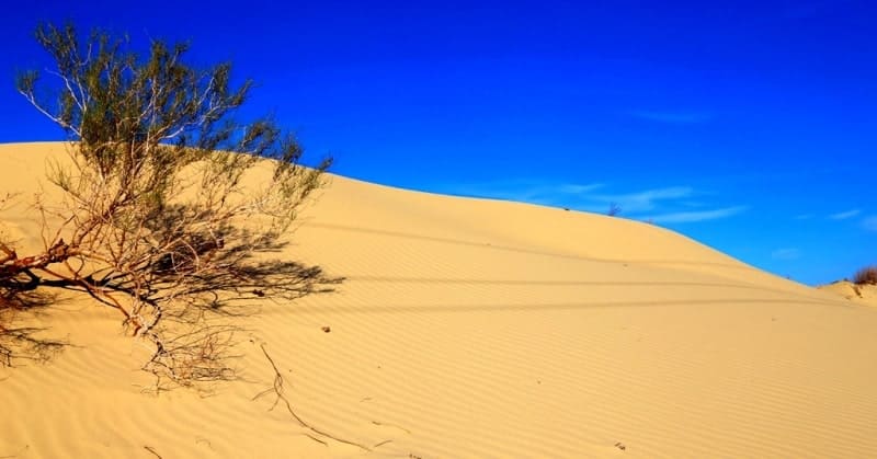 Some of the rivers flowing down the slopes of the Dzungarian Alatau (Karatal, Aksu, Lepsy) also cross the Saryesik-Atyrau Sands, flowing into Balkhash. Other, smaller rivers are lost in the sands.