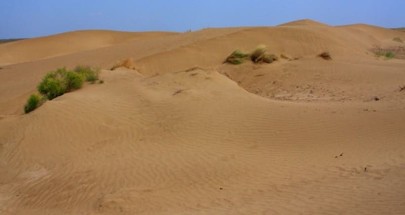 In the southeast of the Saryesik-Atyrau Desert lie the Aralkum, Zhetizhal, and Moyynkum Sands. In the southeastern part of the desert lie the Zhuankum and Zhinishkekum Sands.
