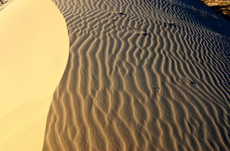 The eastern boundary of the Saryesik-Atyrau Sands is the Karatal River Valley, which extends from the northern slopes.