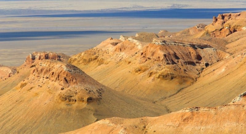 The fauna of the Northern Cliff, especially in its central parts, is not as rich as that of the sandy areas