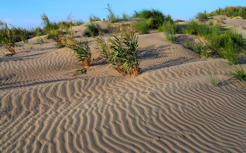Sands Egizlak and environs.