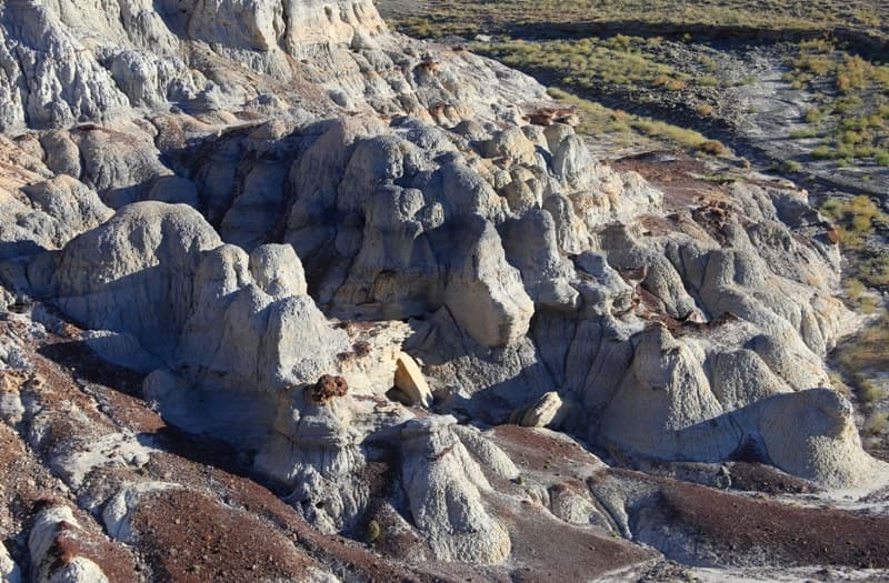 В Кокала не обнаружены, окаменевшие кости динозавров, здесь сохранились палеоботанические остатки.