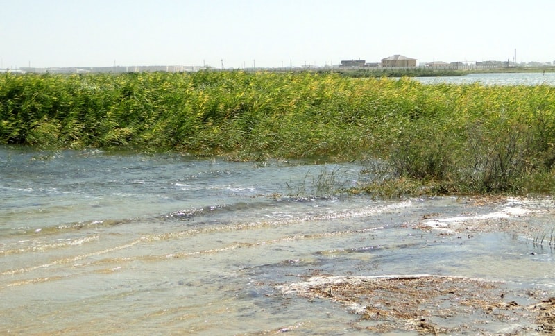 Kamyskol Lake in Kulsary.