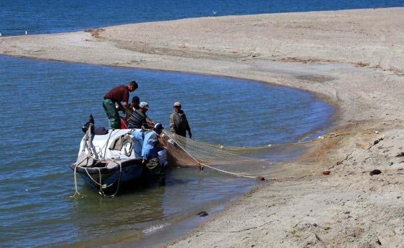 More than 20 species of fish inhabit the waters of Lake Zaysan: sturgeon, sterlet, nelma, taimen, carp, ide, tench, pike, perch, and others.