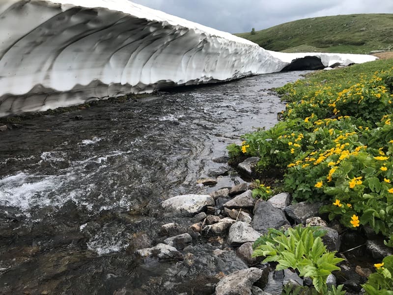Истоки Черной Убы на западных склонах Коксуйского и Холзун хребтов.