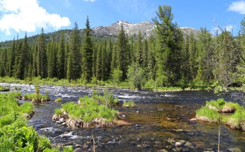 Верховья реки Уба на территории Западно-Алтайского природного заповедника.