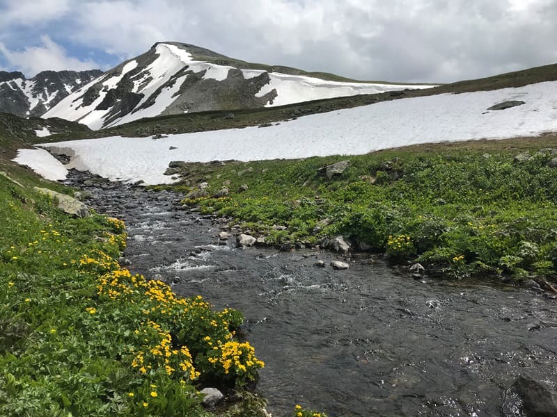 Верховья реки Уба.