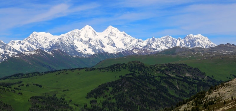 Листвяга хребет в горах Казахстанского Алтая.