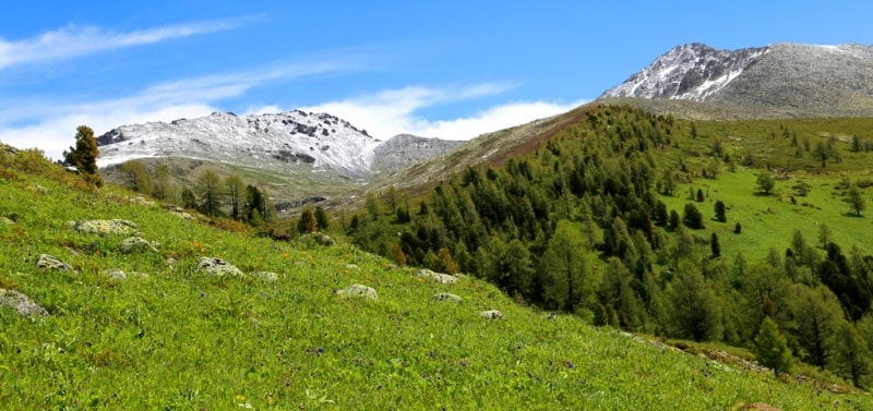 Listvyaga ridge in Kazakhstan Altai.