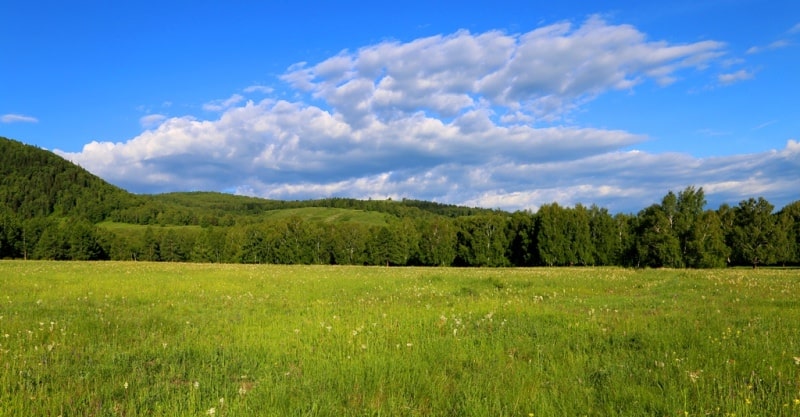 Sarymsakty ridge.