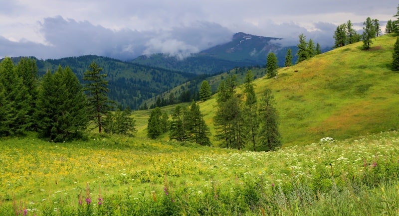 The nature of the Ubinsky ridge.