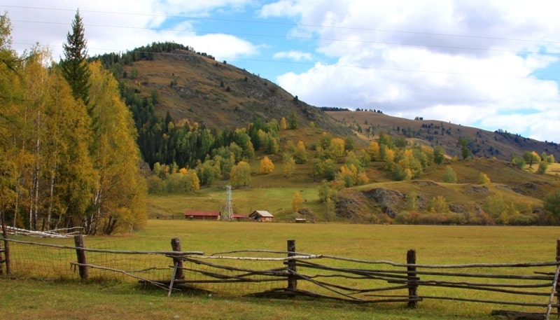 The nature of the Ubinsky ridge.