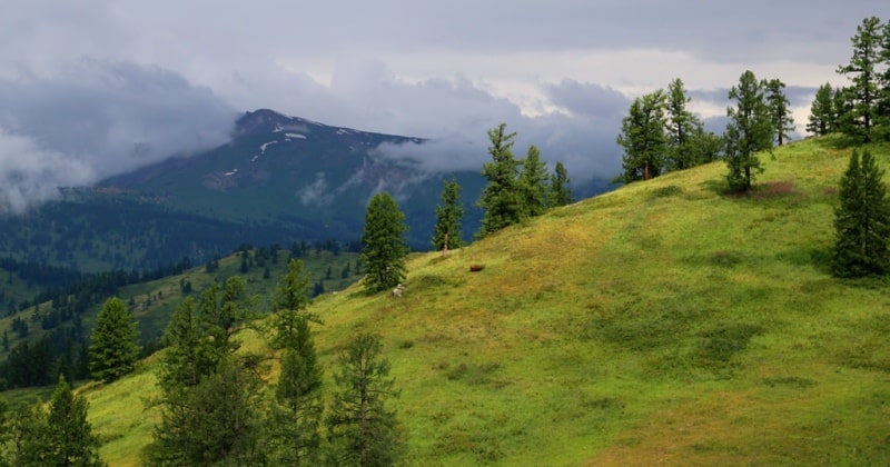 The nature of the Ubinsky ridge.