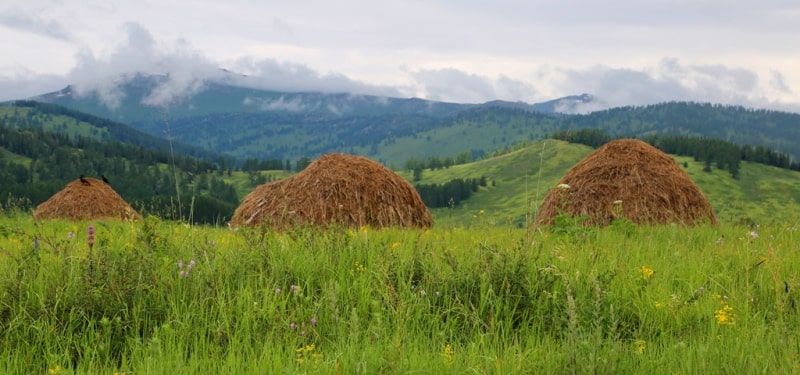 Природа Убинского хребта.