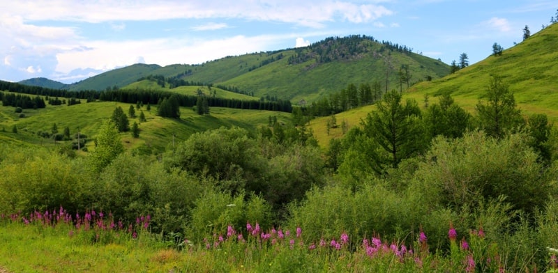 The nature of the Ubinsky ridge.