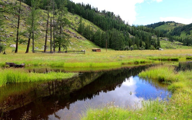 Nature of Ulba ridge.