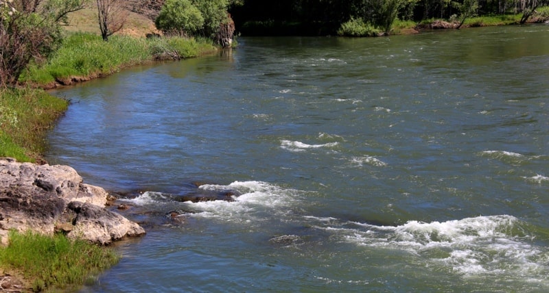 Kurchum river and environs.