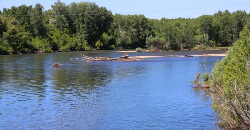 Kurchum river and environs.