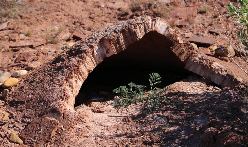 Gypsum craters near Lake Aschykol.