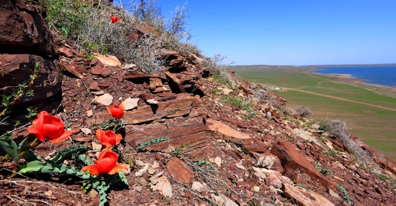 Akkol Lake and environs in Zhambyl region.