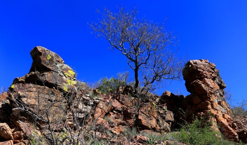 Merke River and environs.