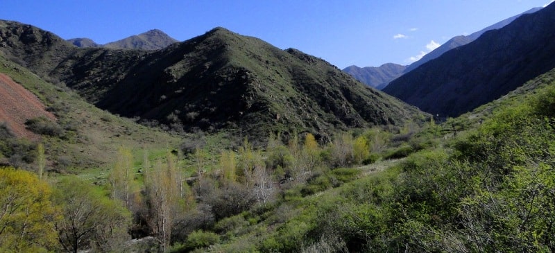 Merke River and environs.