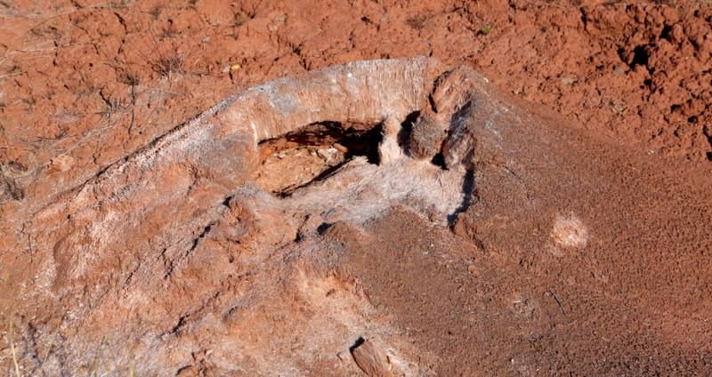 Many Turkic-speaking peoples call the Pingo-Bulgunnyakhs "Tebelers" (from the Turkic for "hill," "crown," or "summit").