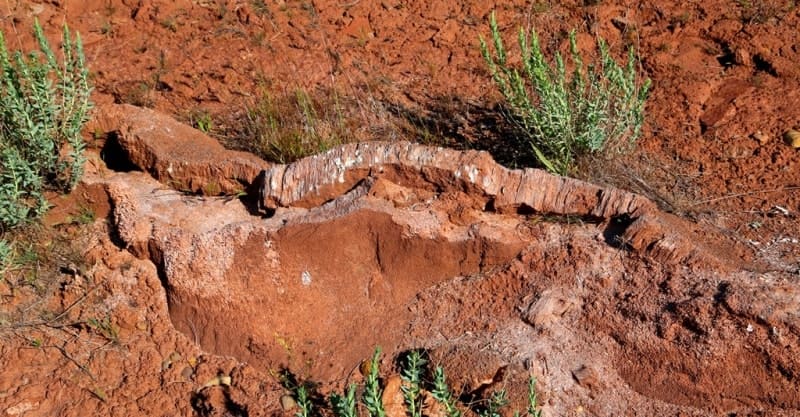 Both pingos, bulgunnyakhs, and tuffurs (small frost mounds) were formed by the extrusion of the active layer by waters under high pressure between the upper and lower boundaries of the layer.