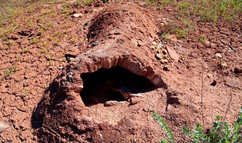In the CIS, when specifying the genesis of frost mounds, the term "bulgunnyakh" (from the Yakut bulgunnyakh - "hill," "summit," "mound") is used, which is synonymous with pingos.