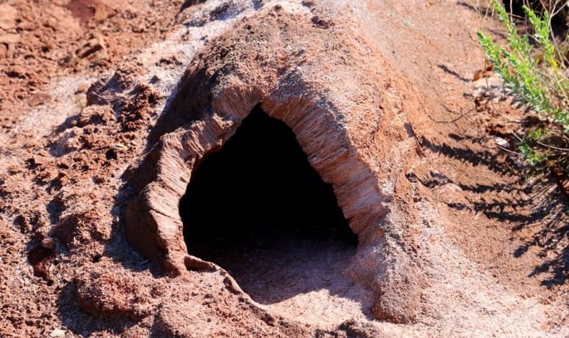 Biogenic gas, which forms in swampy conditions, or deep gas from deposits can accumulate under a layer of impermeable soil.