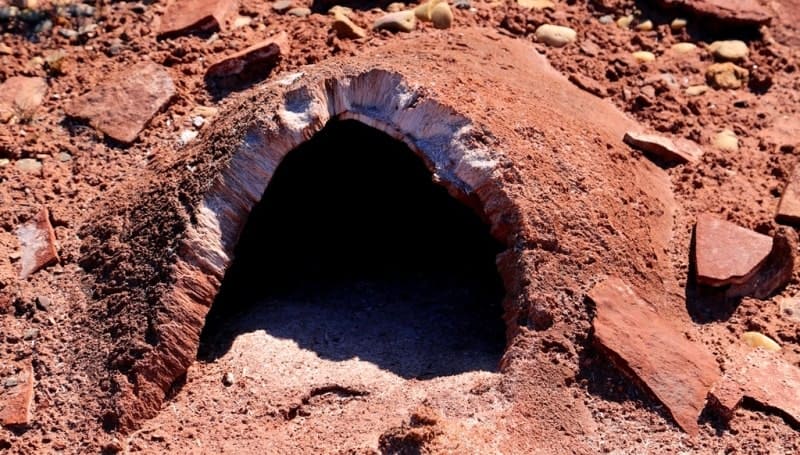 Gypsum crystalline crusts, or "frost mounds," are located on the northern shore of the bitter-salty, endorheic Lake Ashikol.