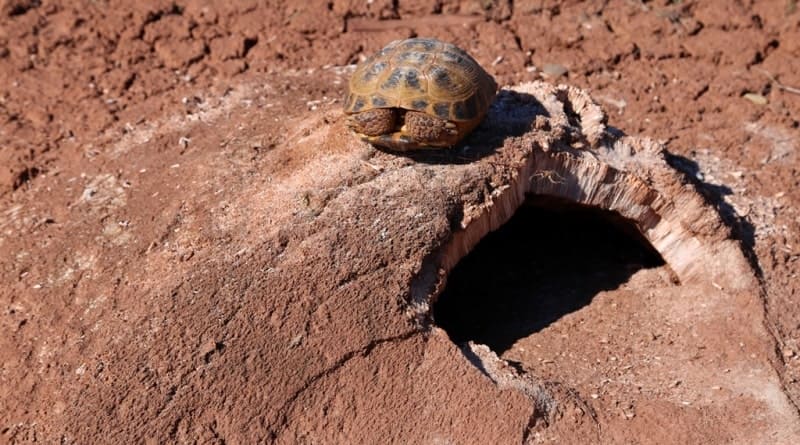 The frost mounds on Lake Ashikol are located 18 kilometers northwest of the village of Akkol, the administrative center of the Talas District.