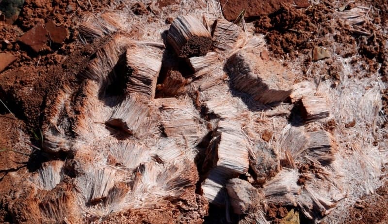 The geographic coordinates of the frost mounds on Lake Ashikol are: N43°32'16 E70°36'19