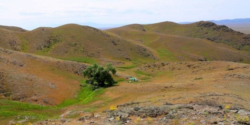 The abundance of petroglyphs in the Kulzhabasy Mountains and traces of ancient settlements indicate that these areas were once densely populated and served as a home for people during various historical periods. 