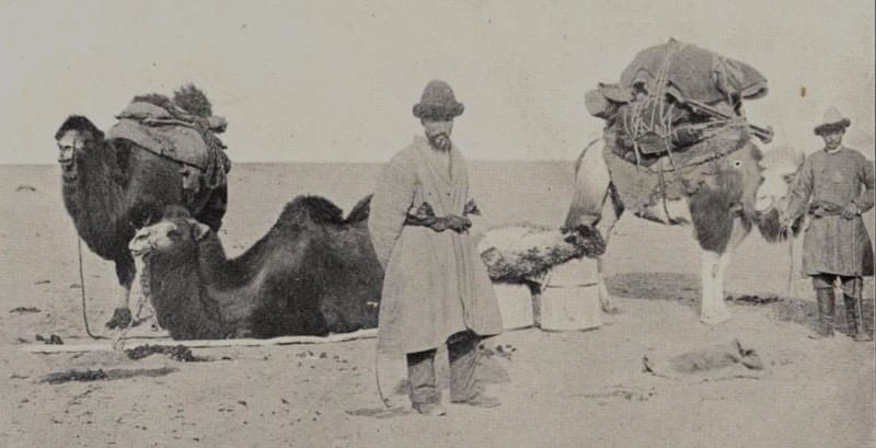 Steppe between the Ili and Chu Rivers. From the book by Railway Engineer V.A. Vasiliev.