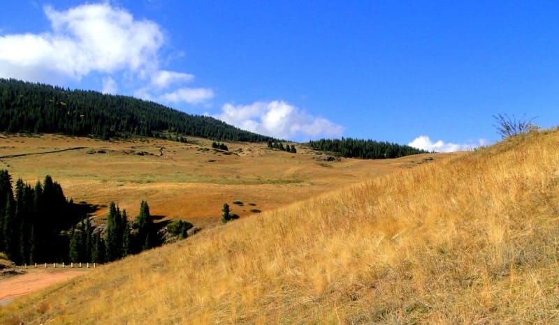 The beginning of the Asy plateau.