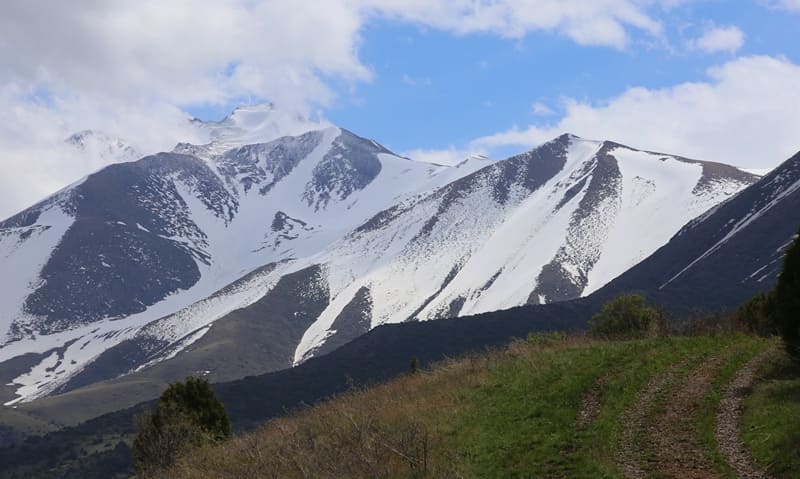 Хребет Таласский Алатау.