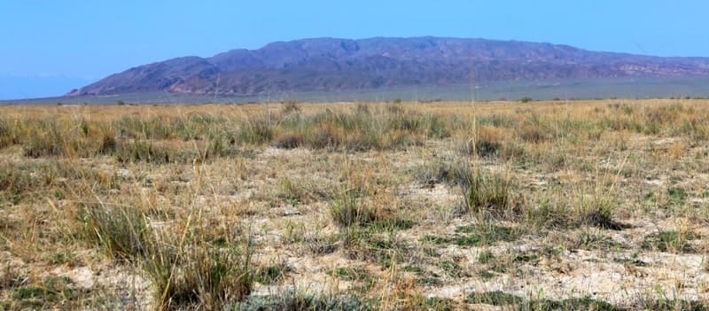 Горы Шолак.