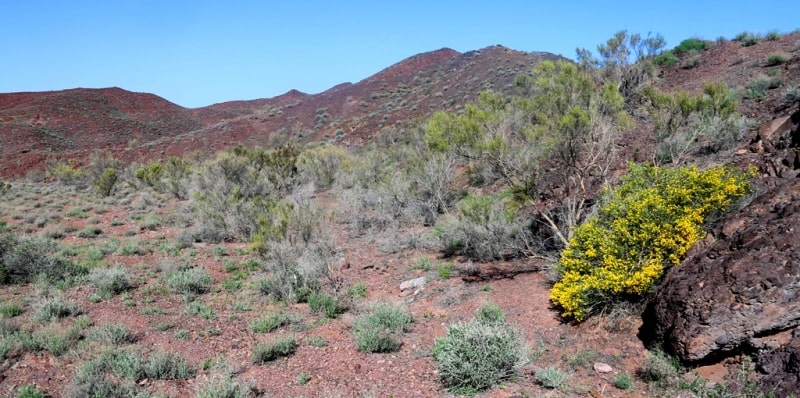 The Matai mountains and environs.