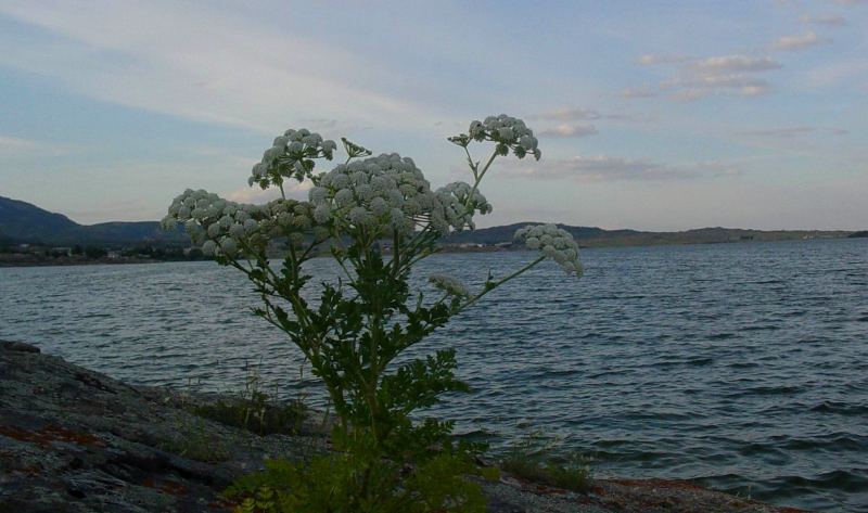 Sabyndykol lake in Bayanaul.